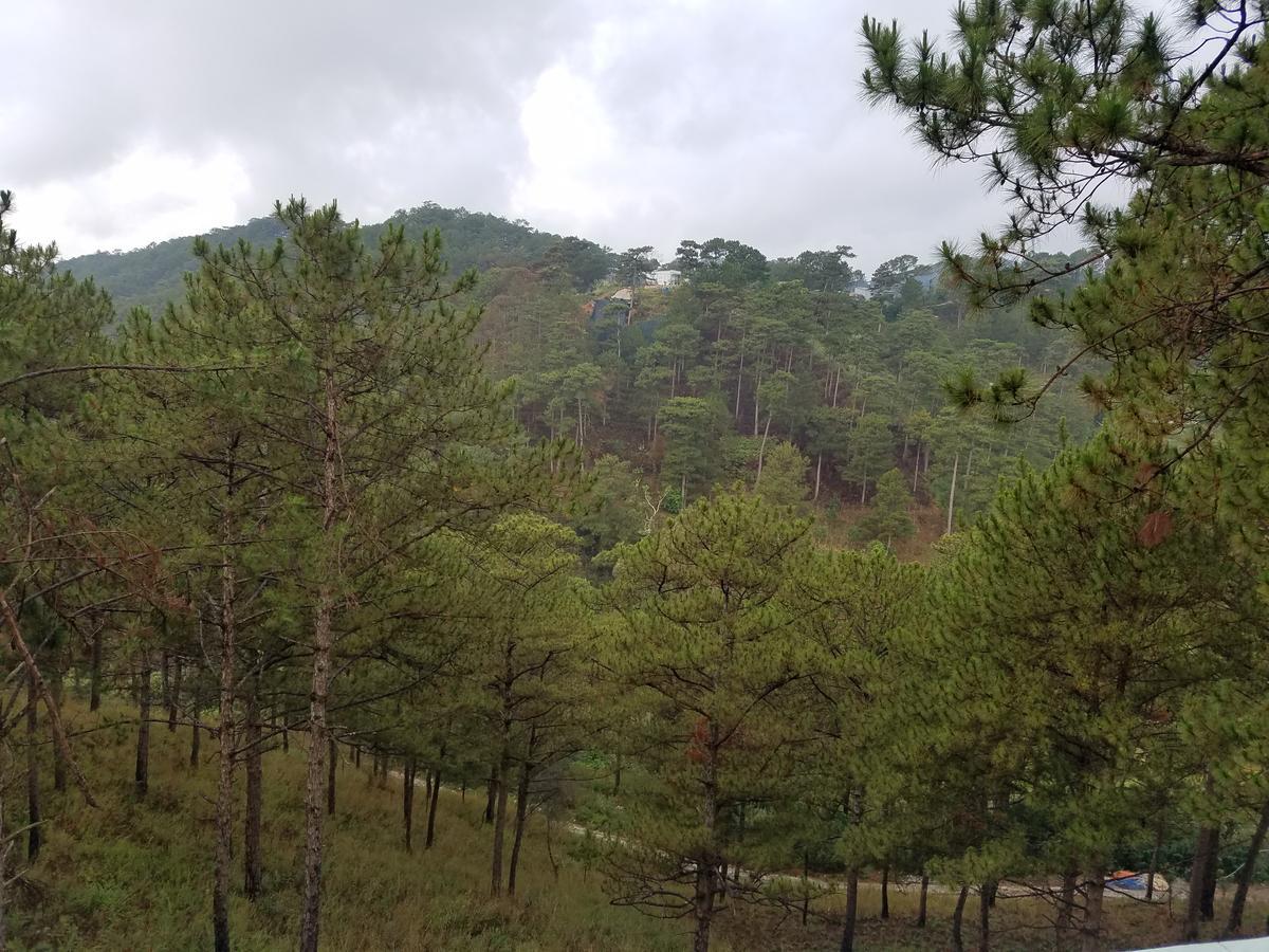 Lam Phan Hotel Villa Νταλάτ Εξωτερικό φωτογραφία